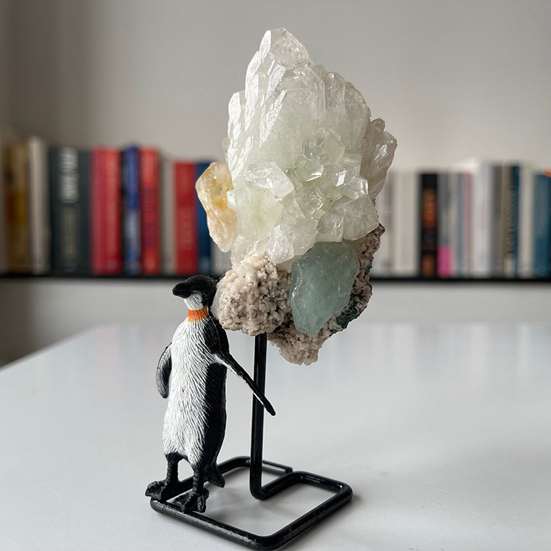 Smart Penguin