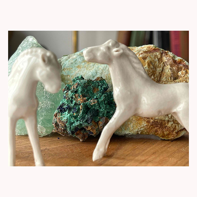 Horses
