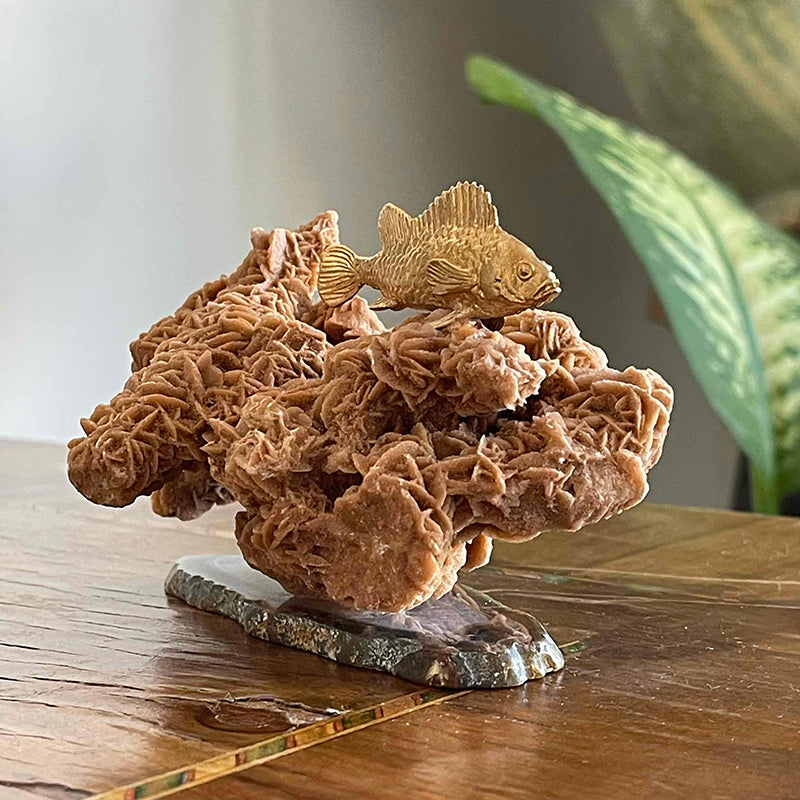 Hayalleriniz Gerçek Olsun