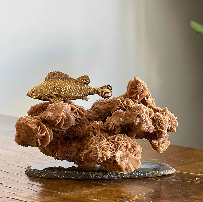 Hayalleriniz Gerçek Olsun