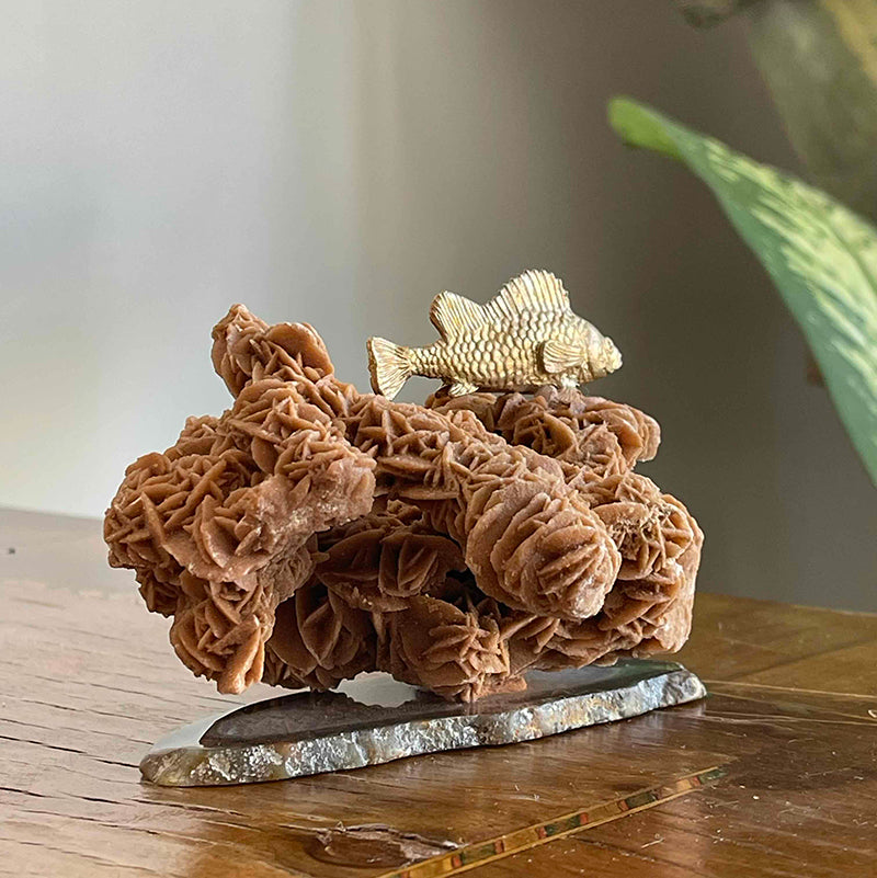 Hayalleriniz Gerçek Olsun