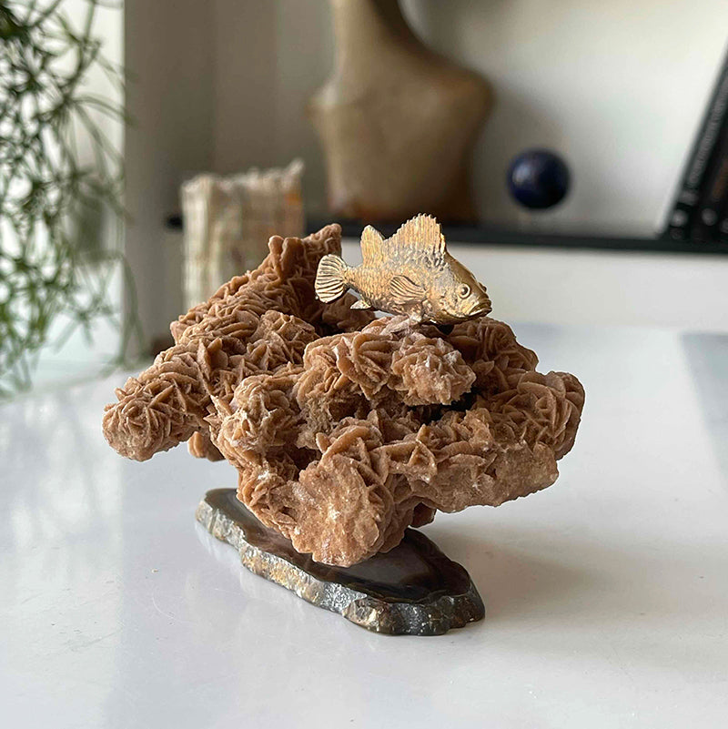 Hayalleriniz Gerçek Olsun