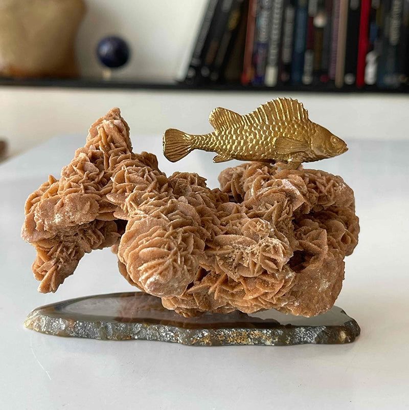 Hayalleriniz Gerçek Olsun