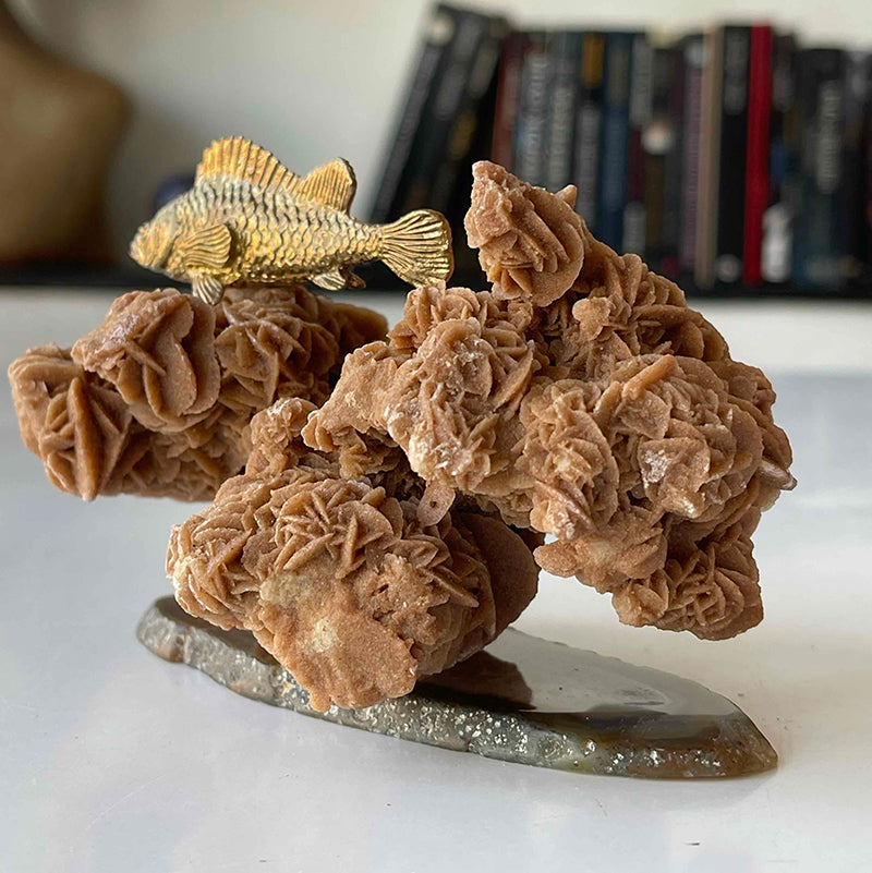 Hayalleriniz Gerçek Olsun