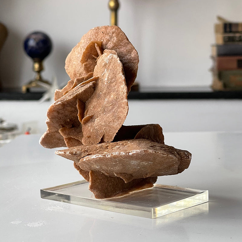 Desert Rose Selenite