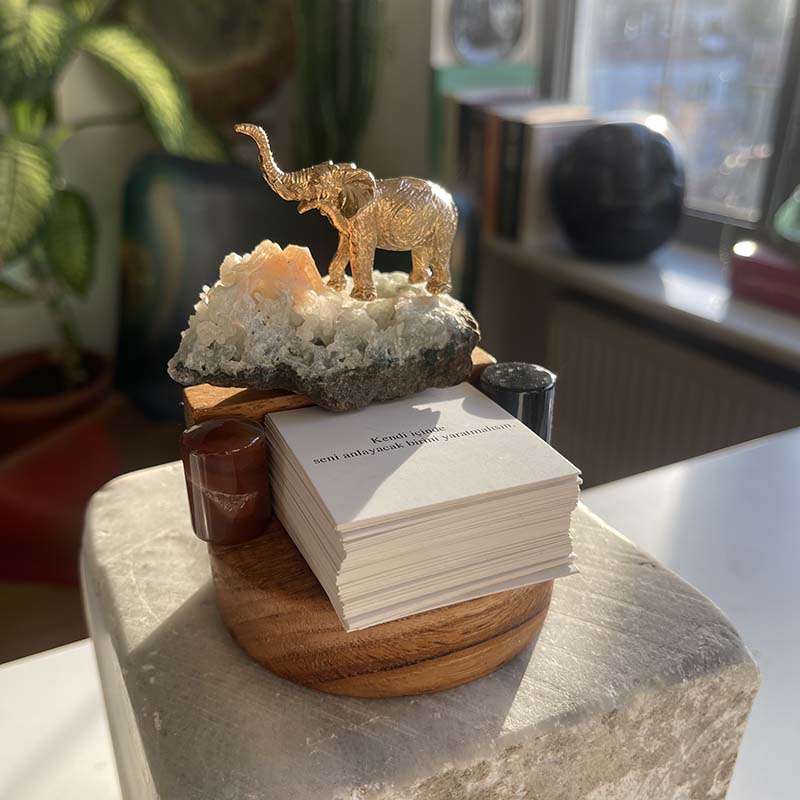 Filin Şansı ve İlham Kartları