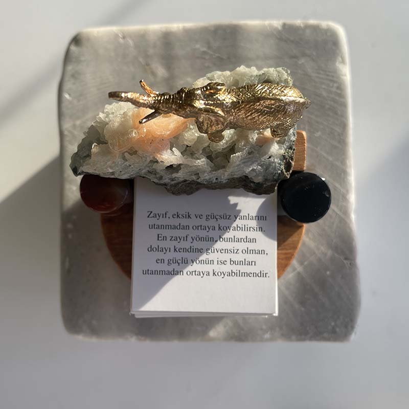 Filin Şansı ve İlham Kartları