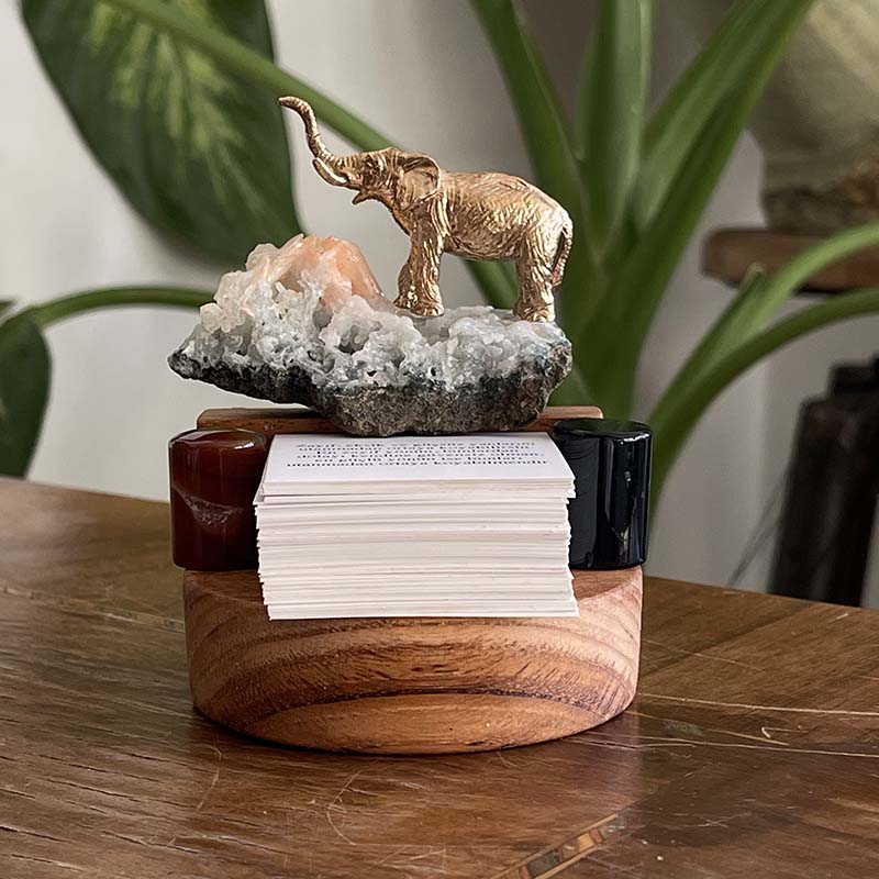 Filin Şansı ve İlham Kartları