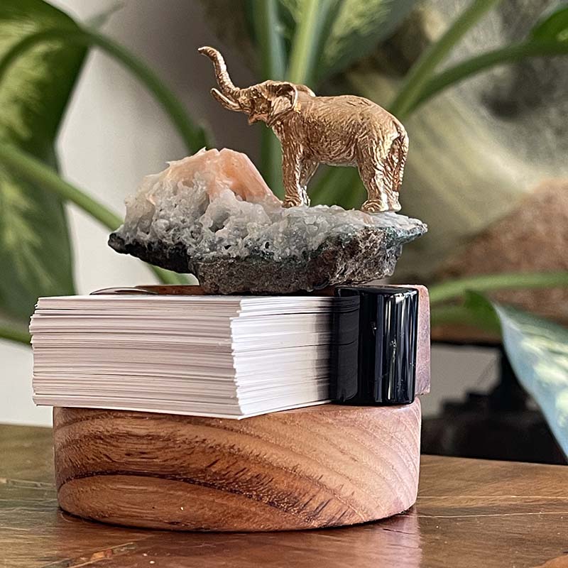 Filin Şansı ve İlham Kartları