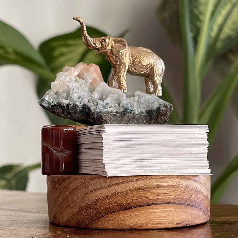 Filin Şansı ve İlham Kartları