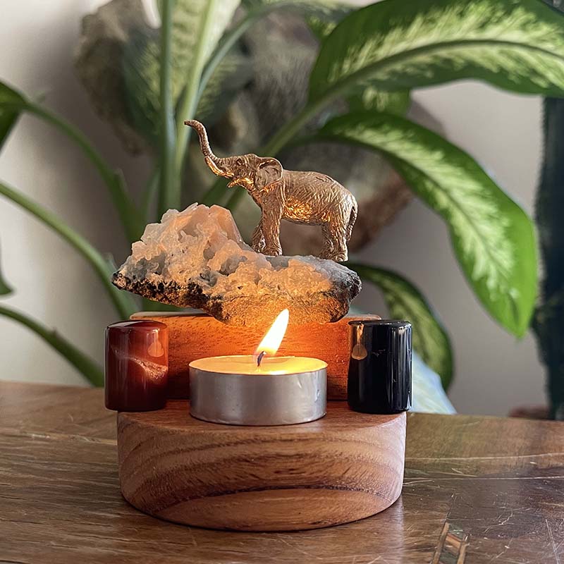 Filin Şansı ve İlham Kartları