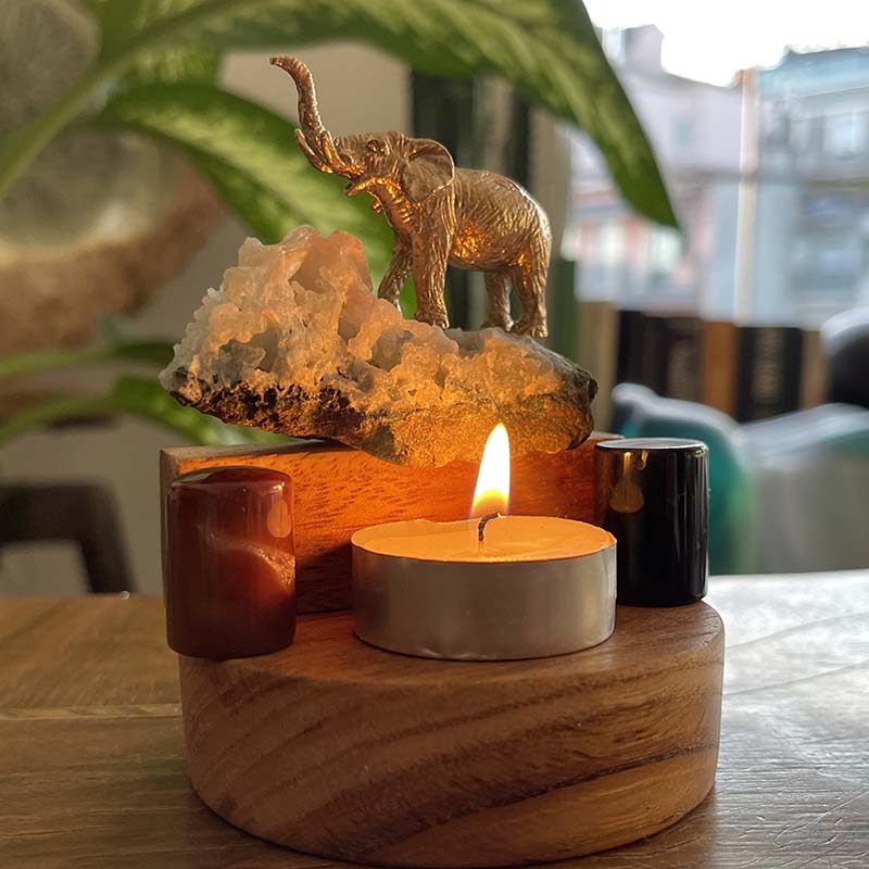 Filin Şansı ve İlham Kartları