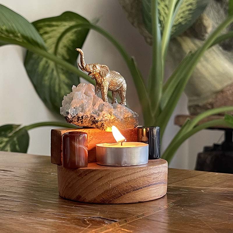 Filin Şansı ve İlham Kartları