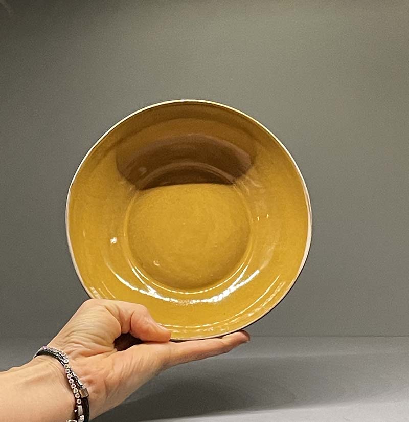 Hardal Serisi Seramik Kase