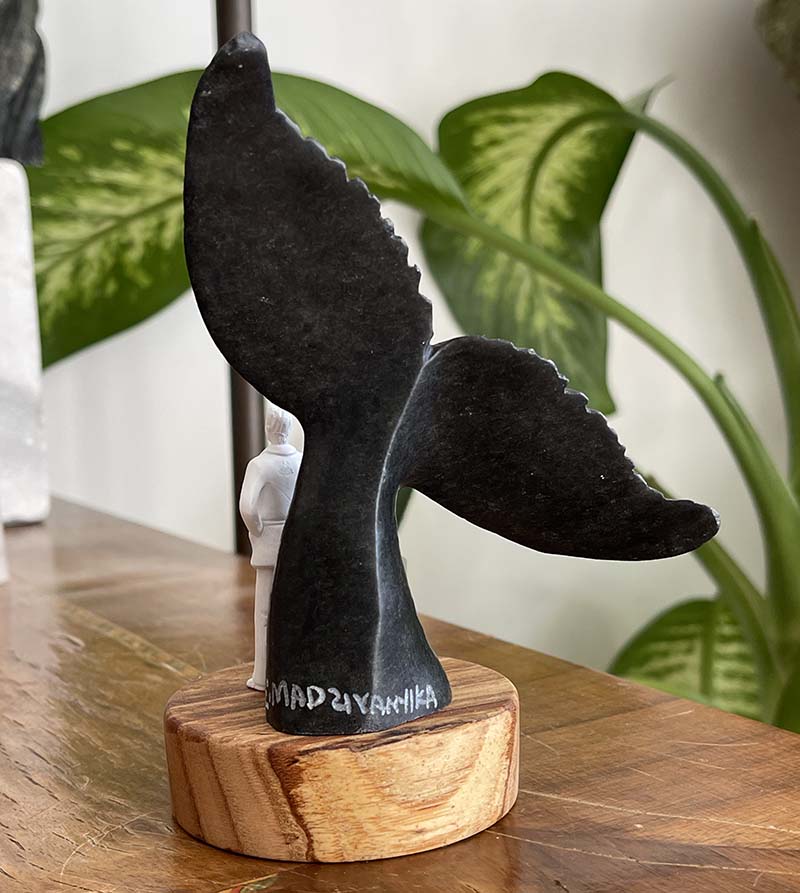 Yeni Bir Başlangıç