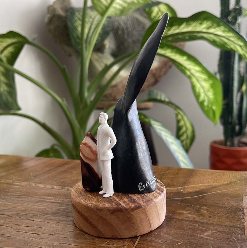 Yeni Bir Başlangıç