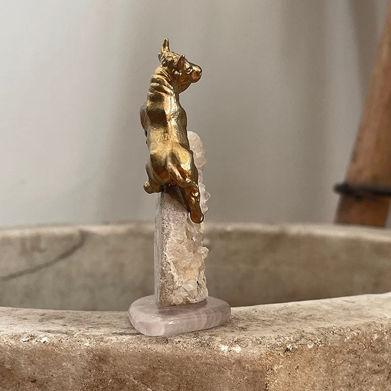 Güç ve Dengenin Uyumu