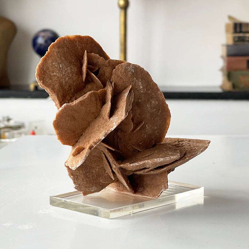 Desert Rose Selenite