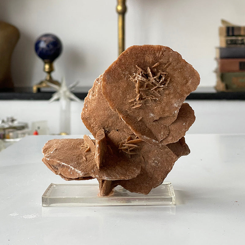 Desert Rose Selenite