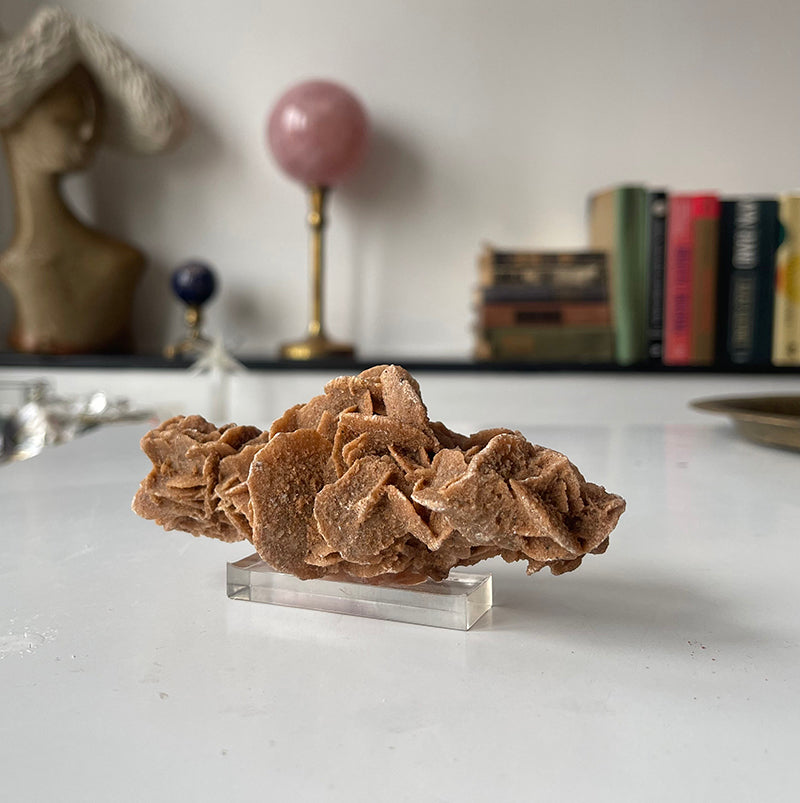 Desert Rose Selenite