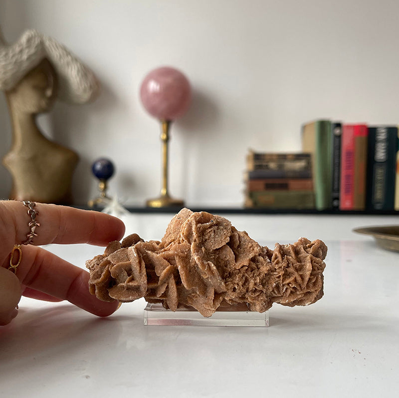 Desert Rose Selenite