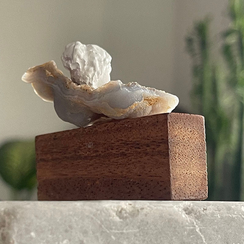 Her Bitiş Bir Başlangıçtır