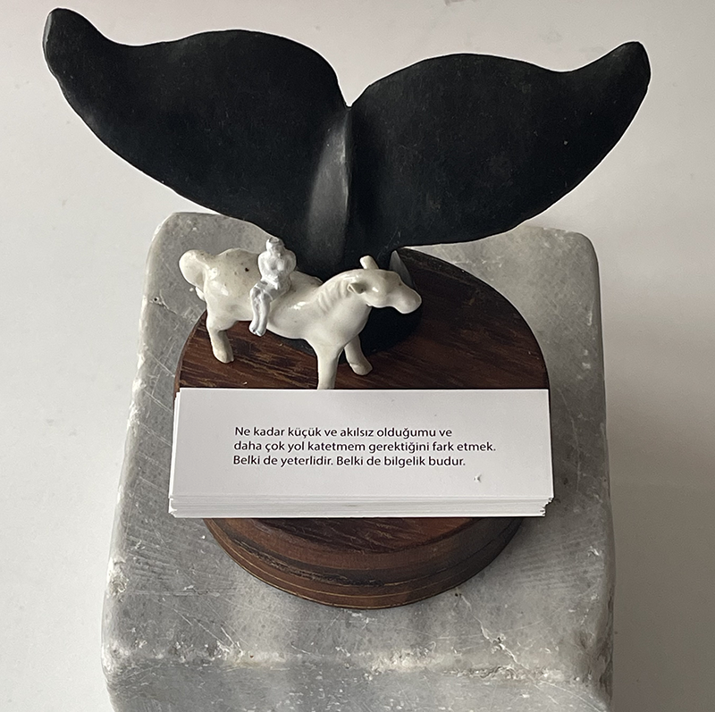 Düşlerimin Peşindeyim