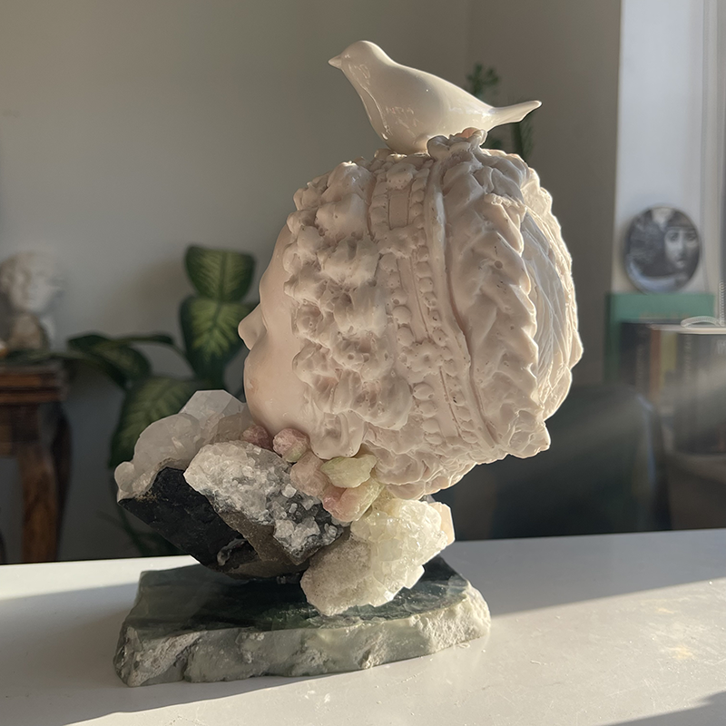 A Bird of Fortune Landed on My Head