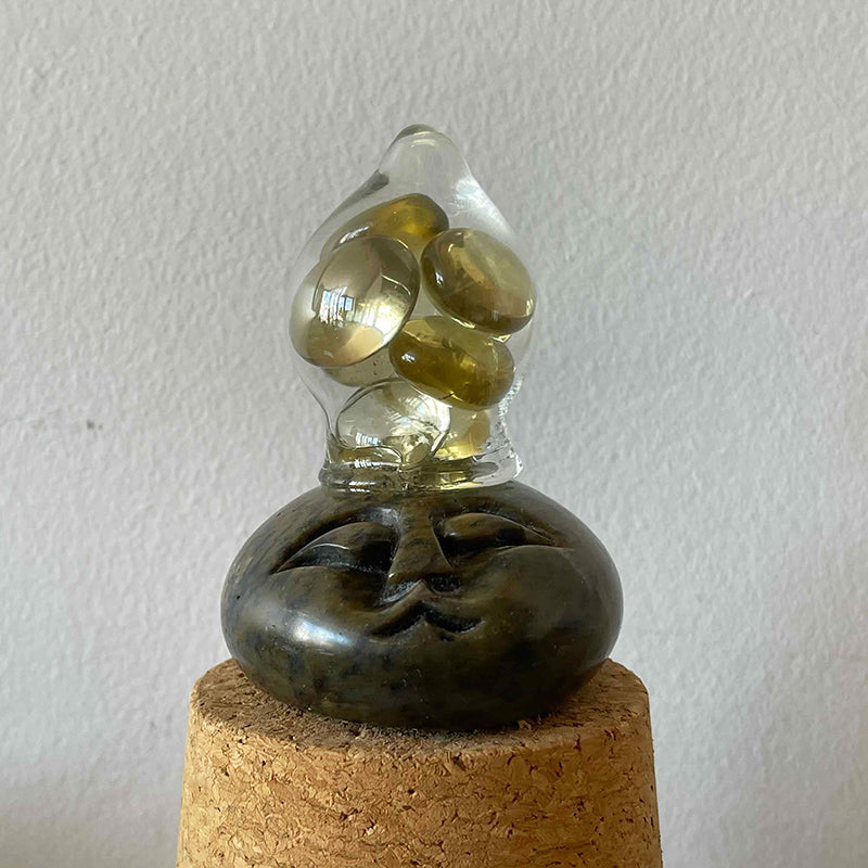 Wisdom Energy