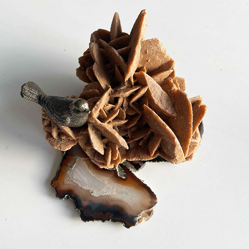 Song of the Desert Rose Bird