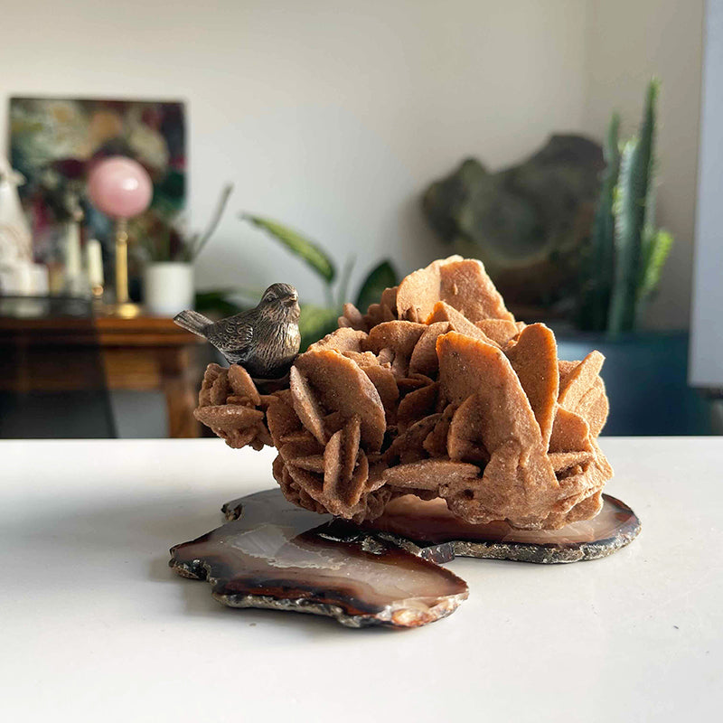 Song of the Desert Rose Bird
