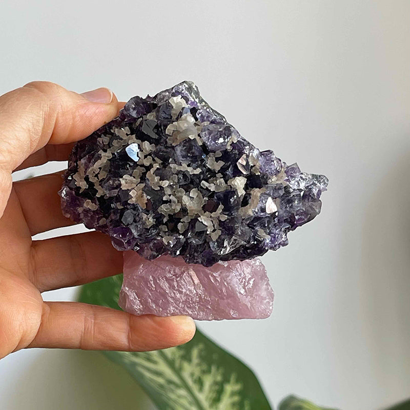 Amethyst & Rose Quartz