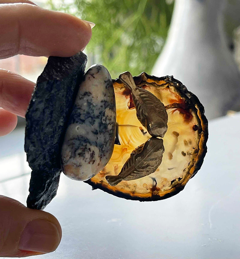 Doğanın Kucağında