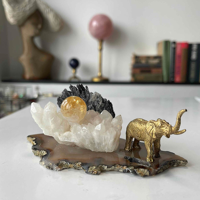 Şansınız Bol Olsun