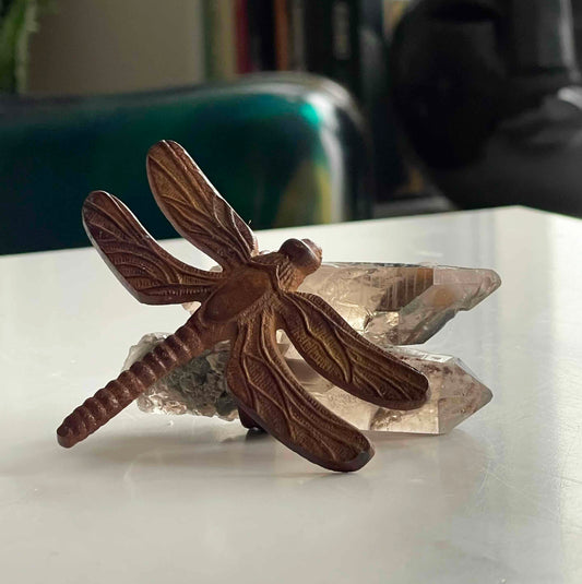 Dragonfly
