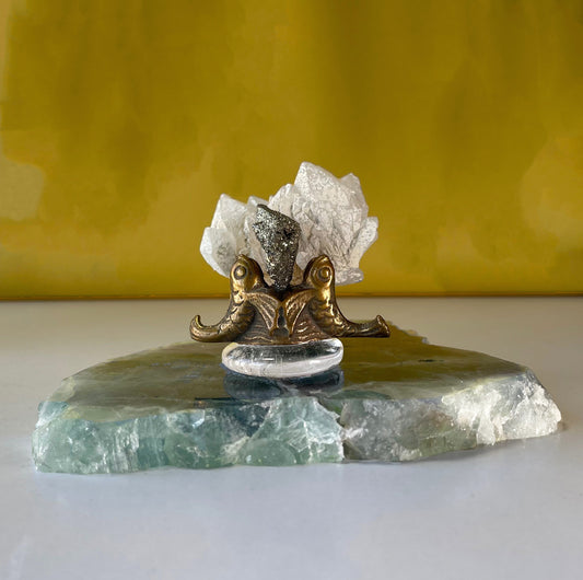 The Magic Dance of Fish