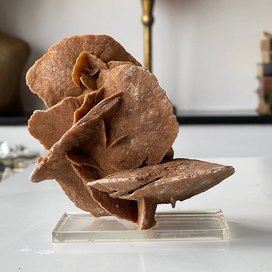 Desert Rose Selenite