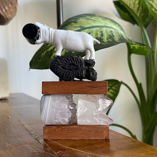 İçindeki Gücü Hatırla