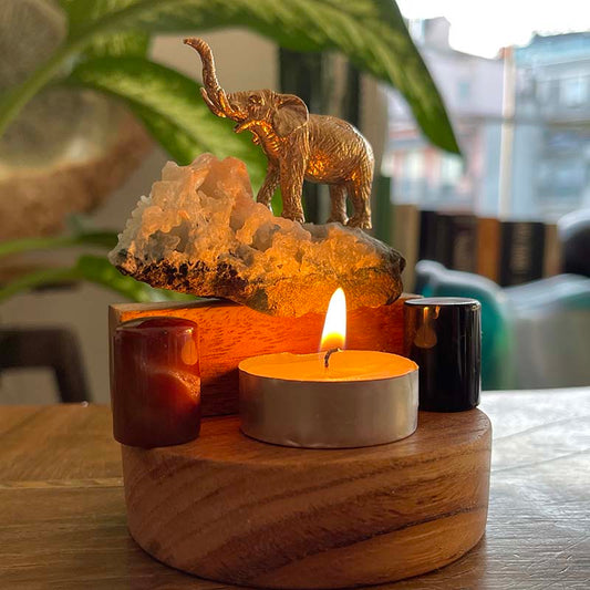 Filin Şansı ve İlham Kartları