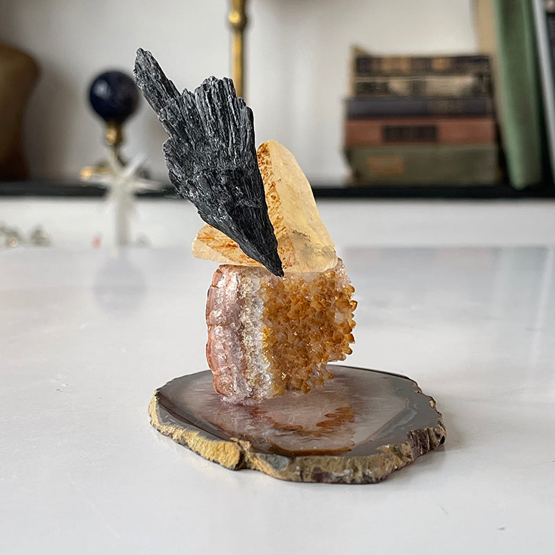 Dönüşümün Gücü