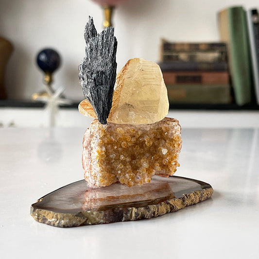 Dönüşümün Gücü