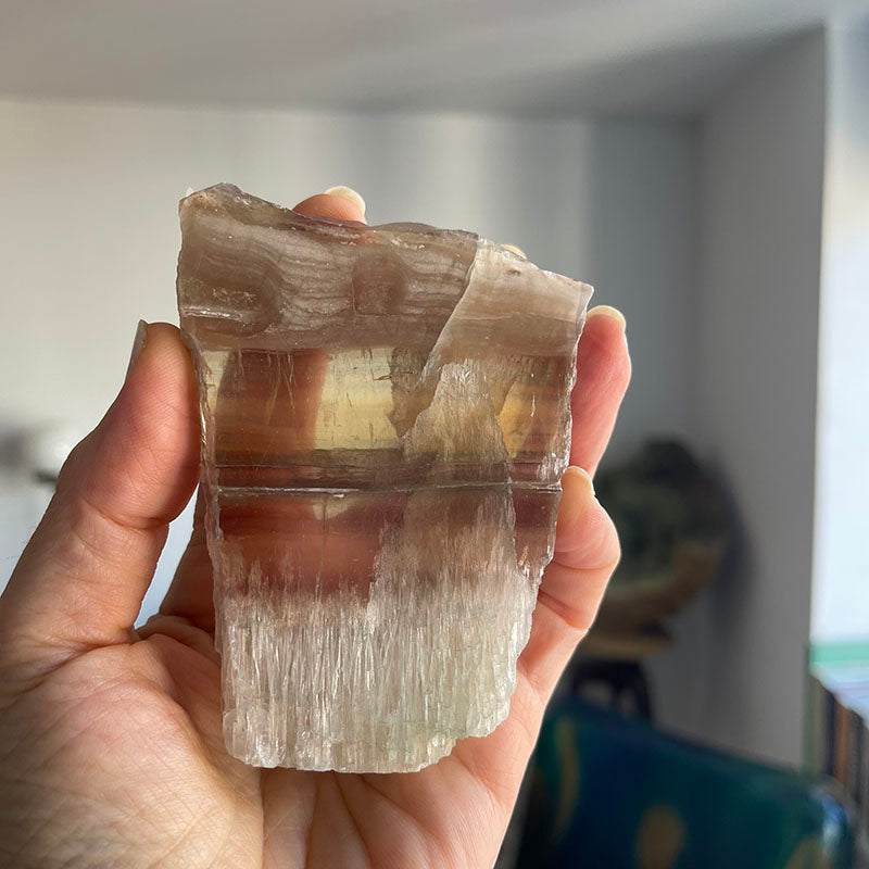 Zihinle Kalp Arasında