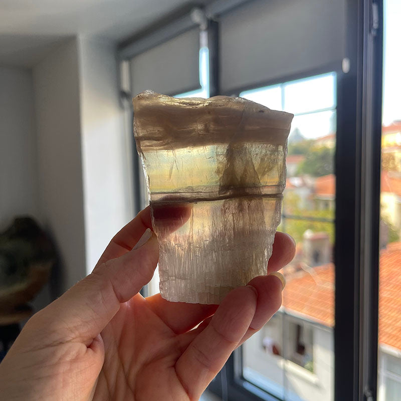 Zihinle Kalp Arasında