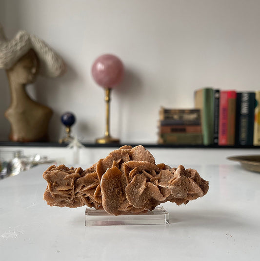 Desert Rose Selenite