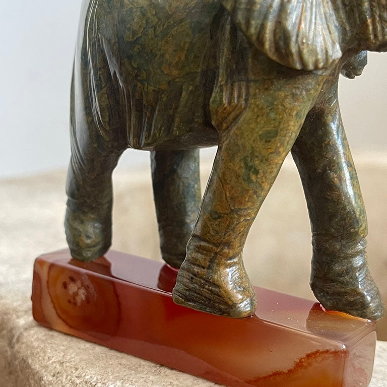 Bereketin Taşıyıcısı