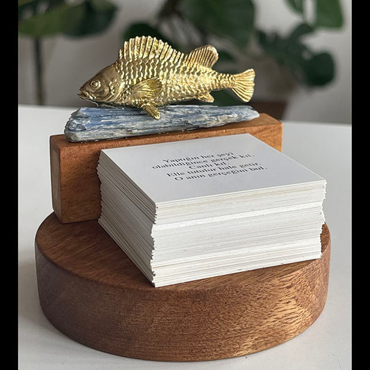 Balığın Rehberliğinde