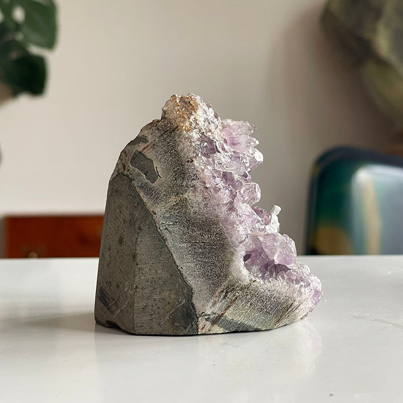 Hayata Karışıyorum