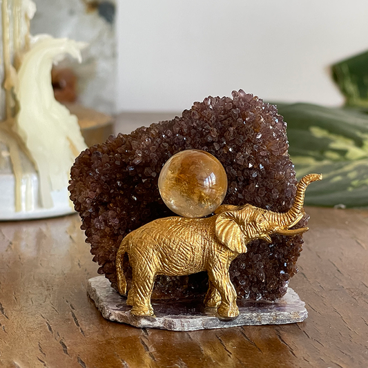 Şans ve Zenginlik Seninle Olsun