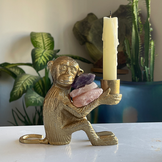 Aşk ve Huzur Maymunu