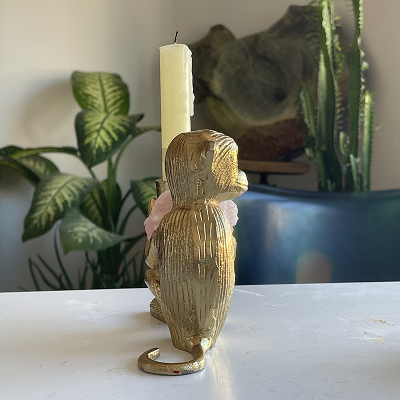Love and Peace Monkey